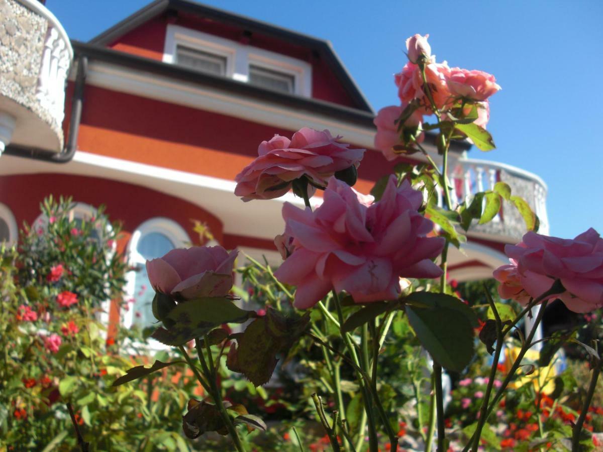 Apartma Jelka Novigrad Istria Exterior foto