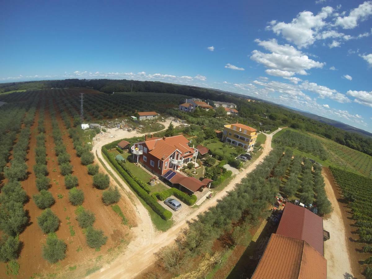 Apartma Jelka Novigrad Istria Exterior foto