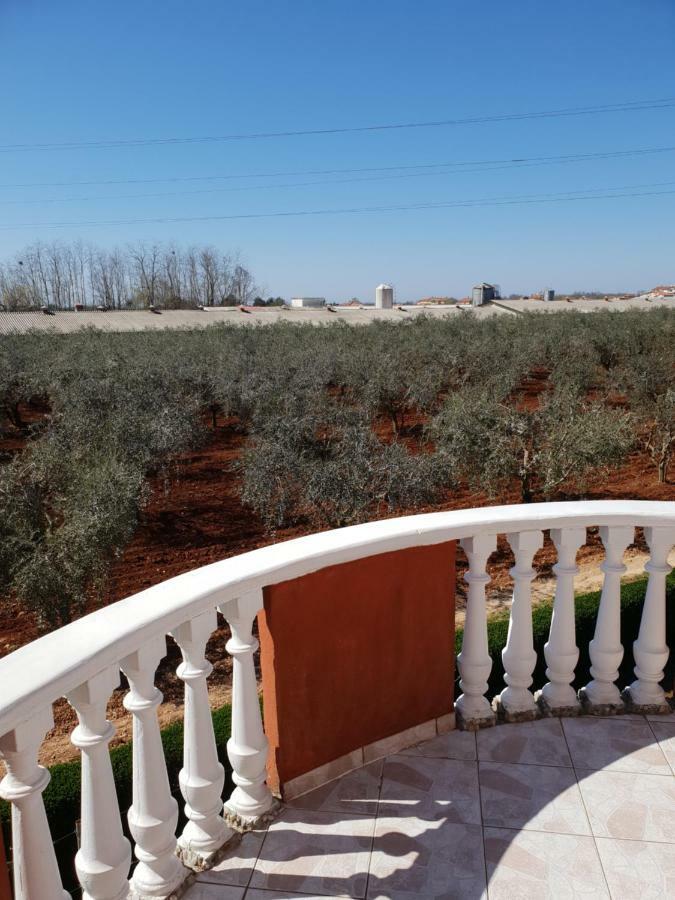 Apartma Jelka Novigrad Istria Exterior foto